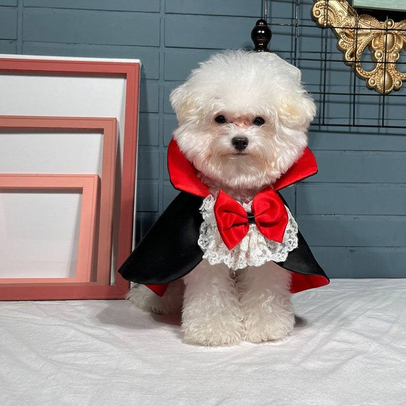 Satin vampire cloak for dogs and cats, in Black and Red, image 3