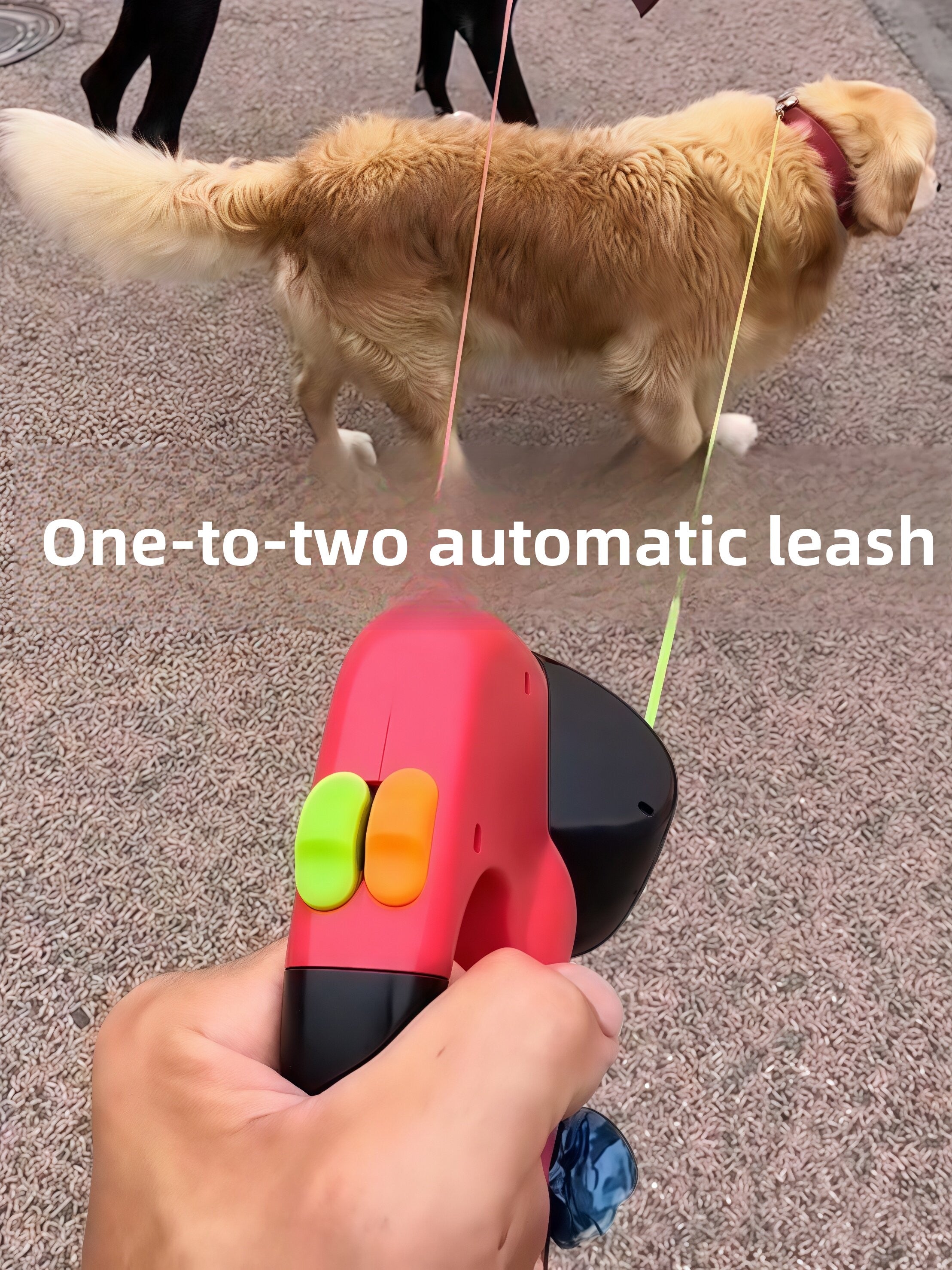 Green automatic retractable dog lead, product photo from Pet Royale UK