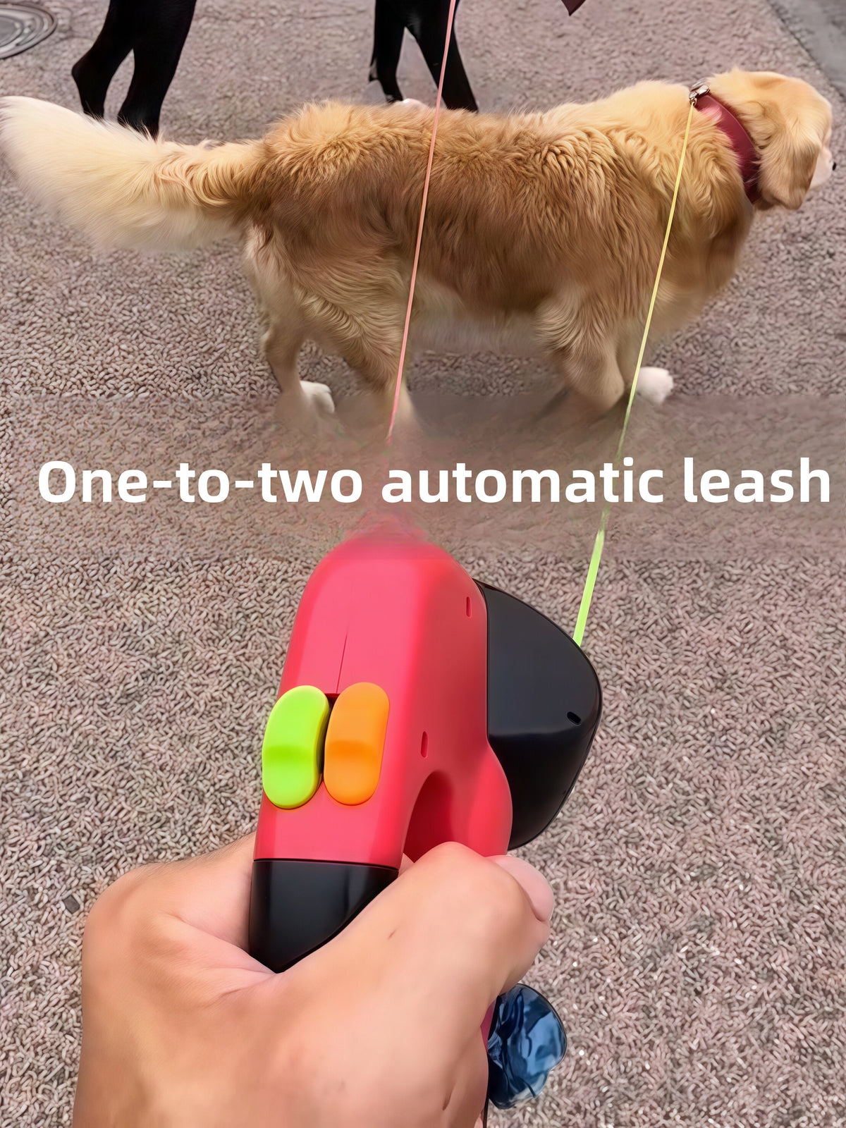 Green automatic retractable dog lead, product photo from Pet Royale UK