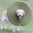 Adjustable Pet Postoperative Recovery Collar