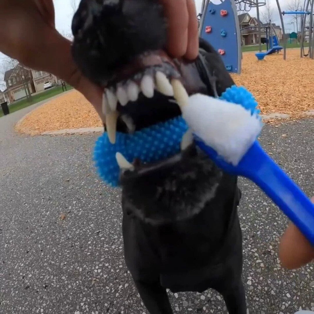 Dog Finger Toothbrush and Dental Chew Toy, Textured Rubber Brush