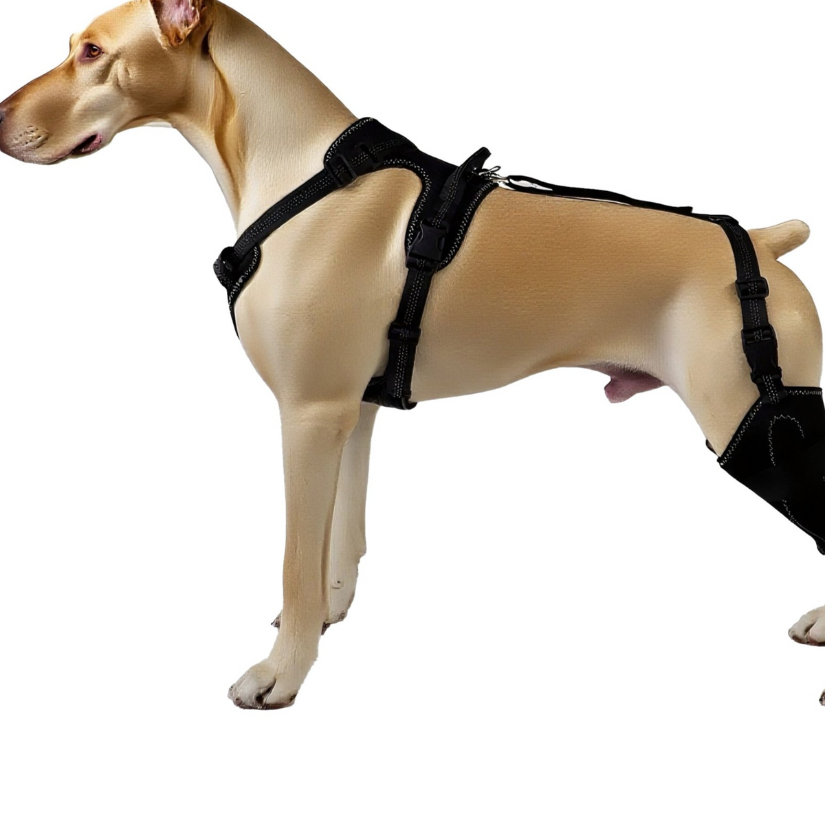 Adjustable Dog Leg Joint Protection Cover