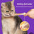 Pet Cat Treat Dispenser Meat Paste Scoop Tool