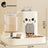 Pet Feeding Bowl