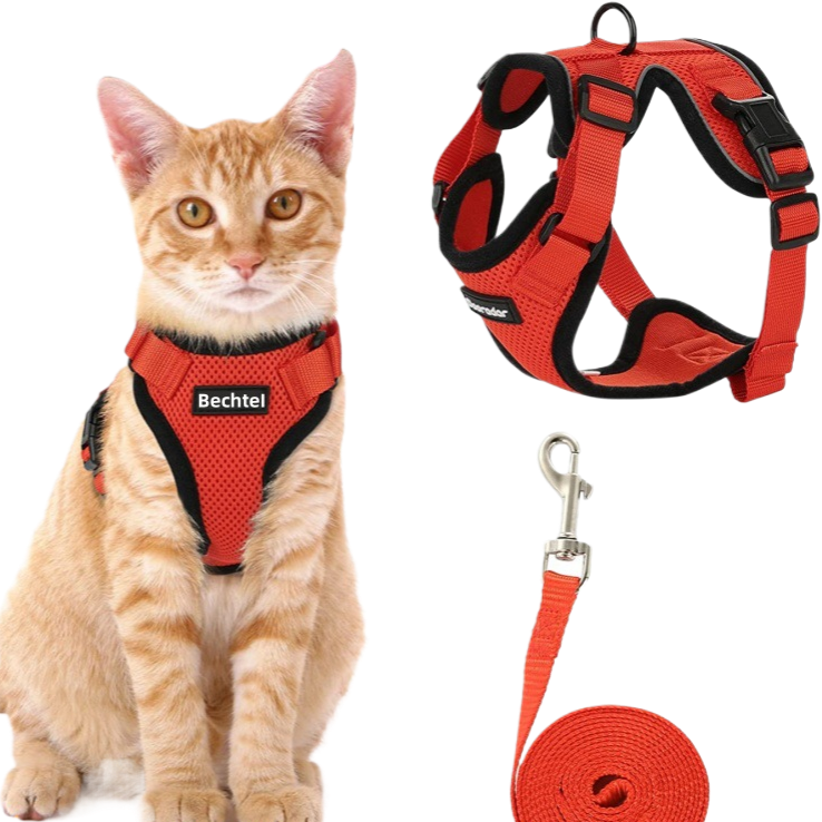 Reflective vest harness with adjustable lead, 3 sizes available