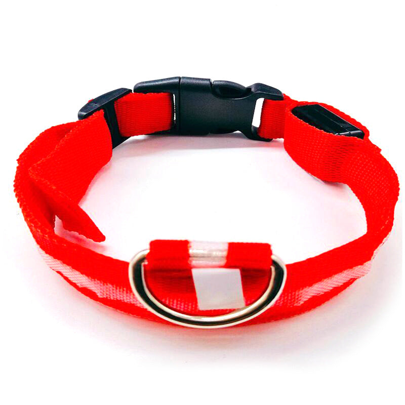 LED dog collars in yellow, green, blue, white and pink