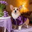 Dog wedding dress with lead buckle, available in 3 colours, image 2