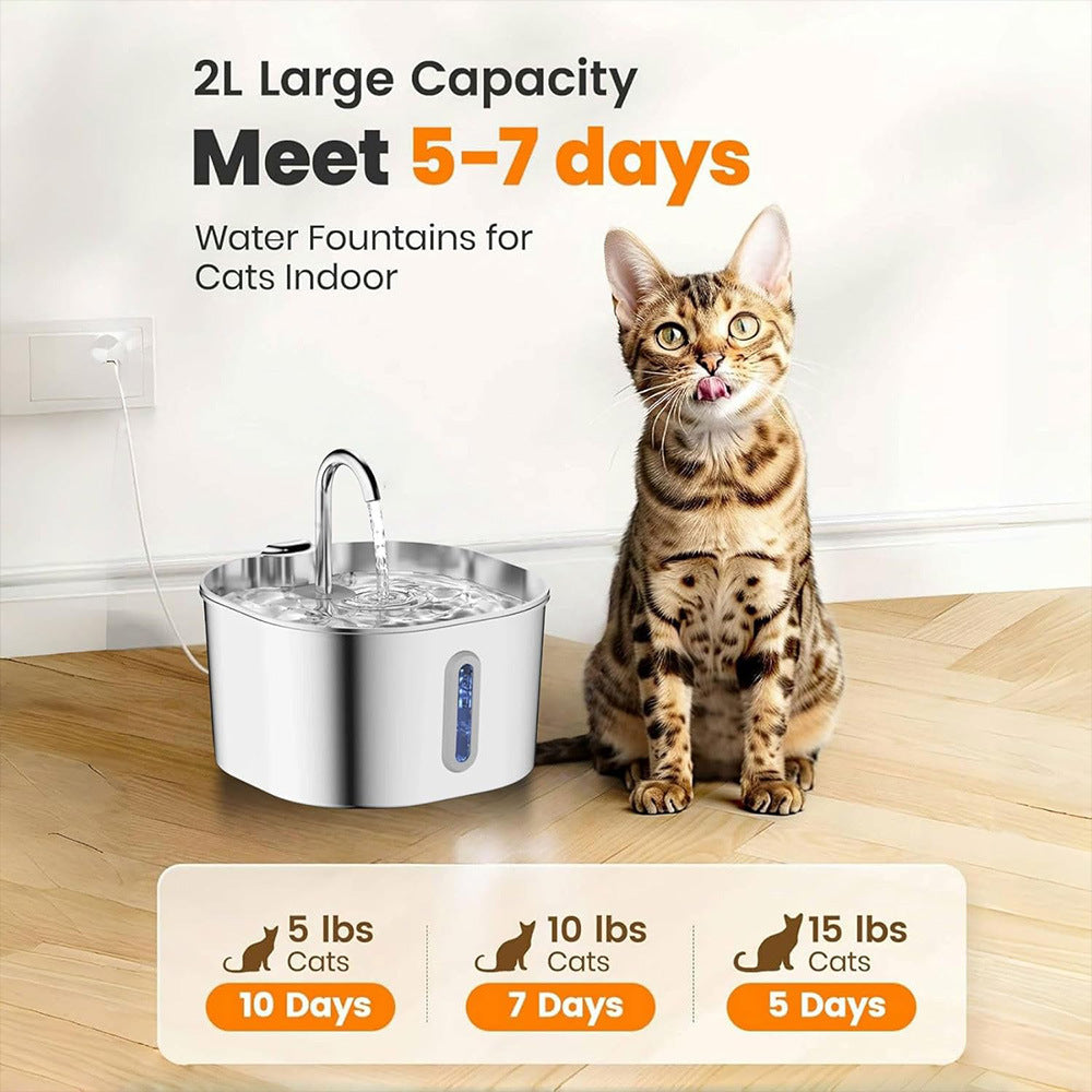 Pet Water Dispenser