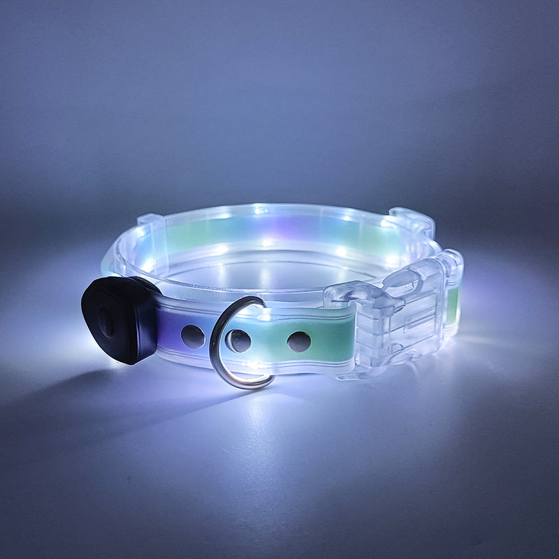 Light up LED dog lead for safe night walks