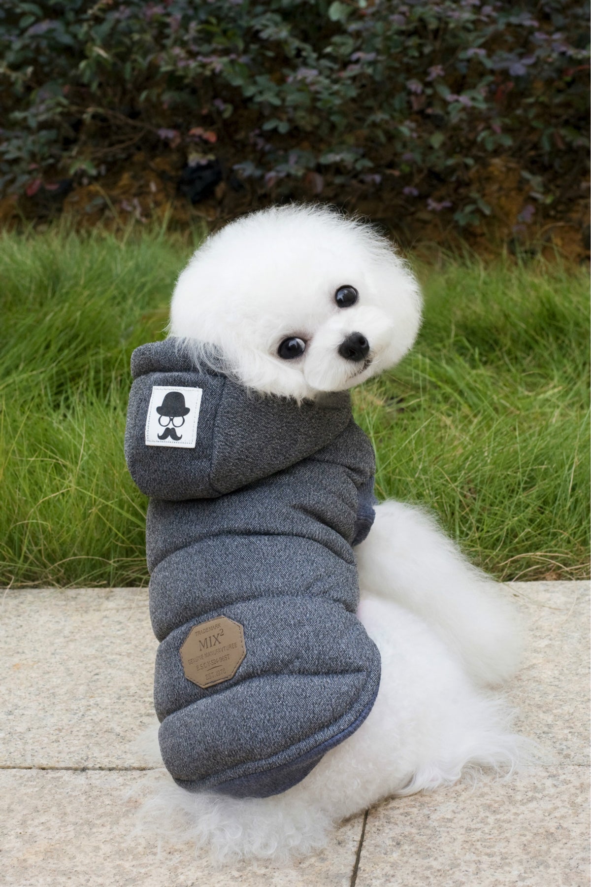Two-leg padded cotton dog coat with moustache pattern in Grey, close-up detail