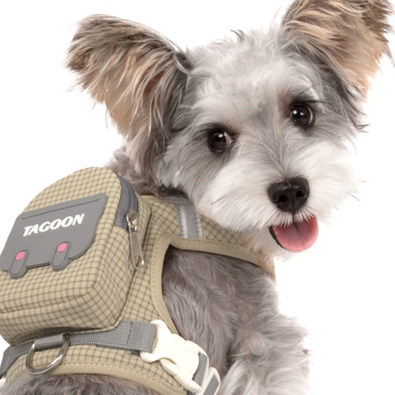 Reflective nylon dog harness and lead set with quick-release buckle, product image 1