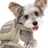Reflective nylon dog harness and lead set with quick-release buckle, product image 1