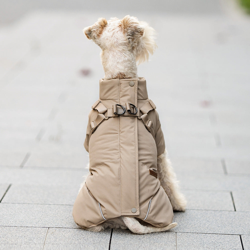 Small dog in a khaki cotton padded water resistant coat