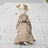Small dog in a khaki cotton padded water resistant coat