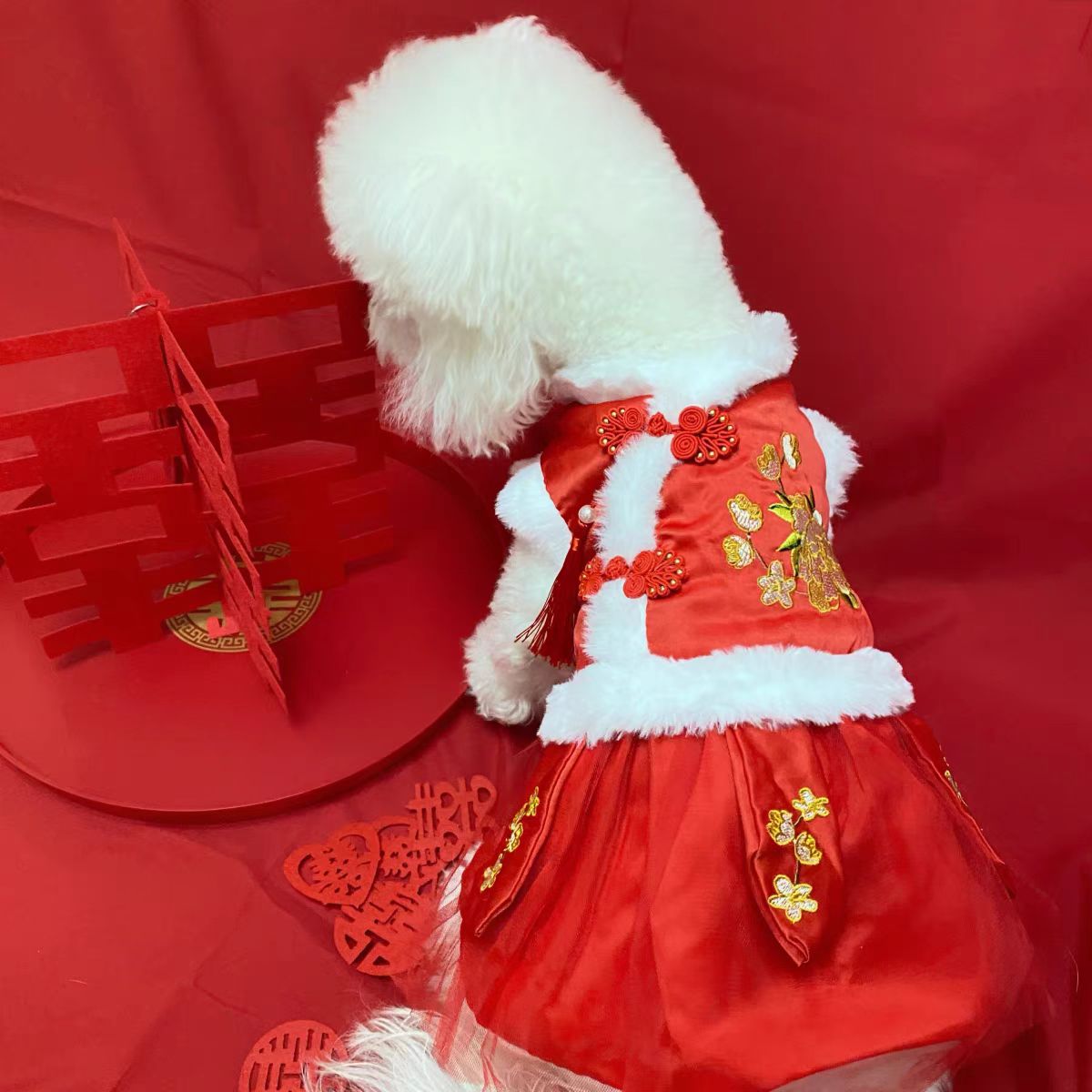 Hooded Tang suit New Year outfit for pets in Floral, top view