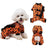Four leg Halloween pumpkin costume for dogs and cats, in Orange and Black, image 2