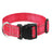 Reflective nylon dog collar, available from Pet Royale UK