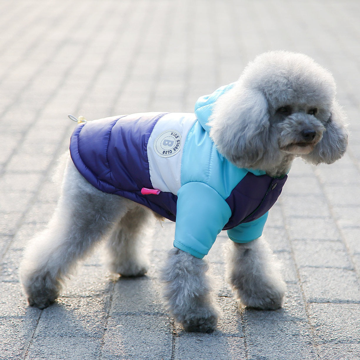 Thick cotton padded dog coats in six colours