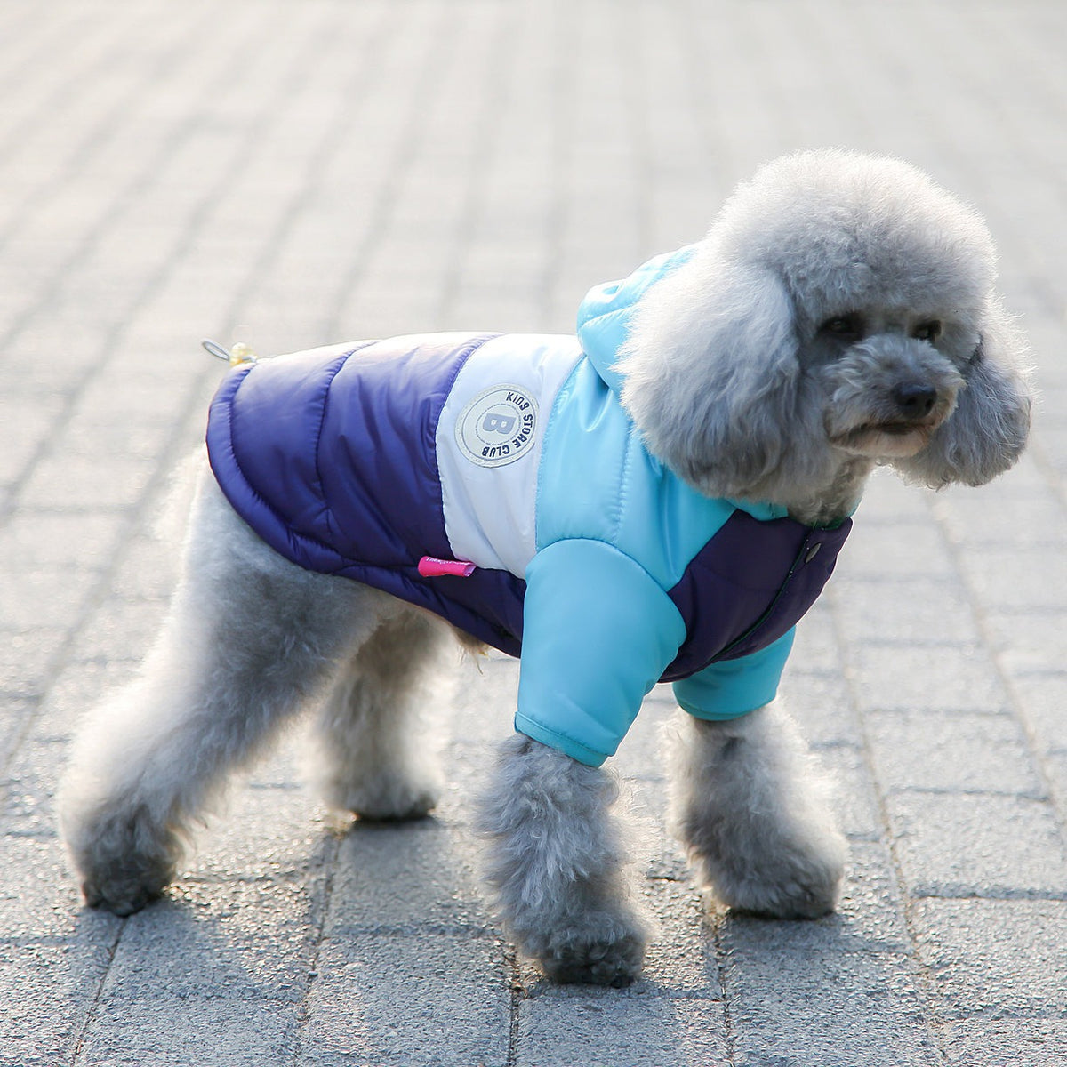 Thick cotton padded dog coats in six colours