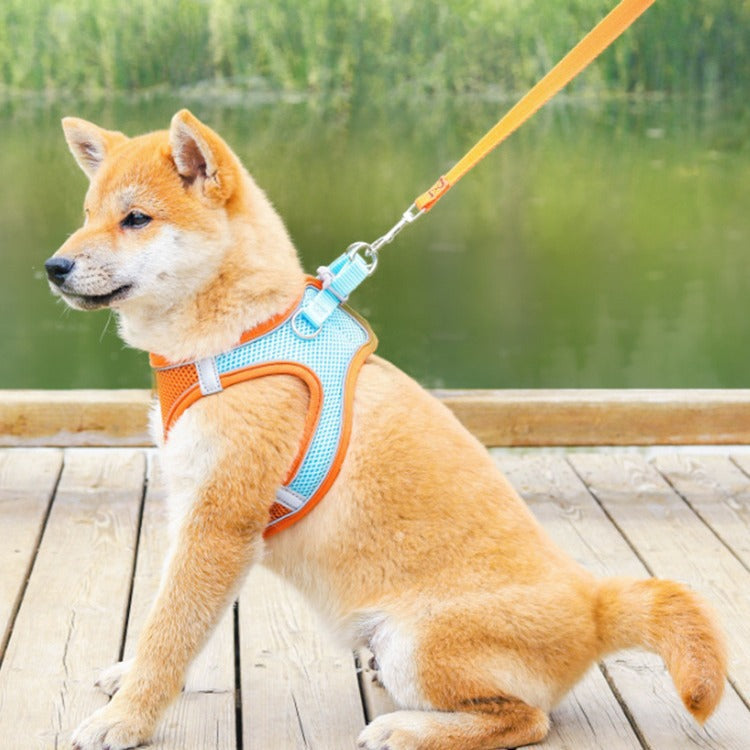 Reflective mesh vest harness and lead set for cats and small dogs, view 3