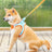 Reflective mesh vest harness and lead set for cats and small dogs, view 3