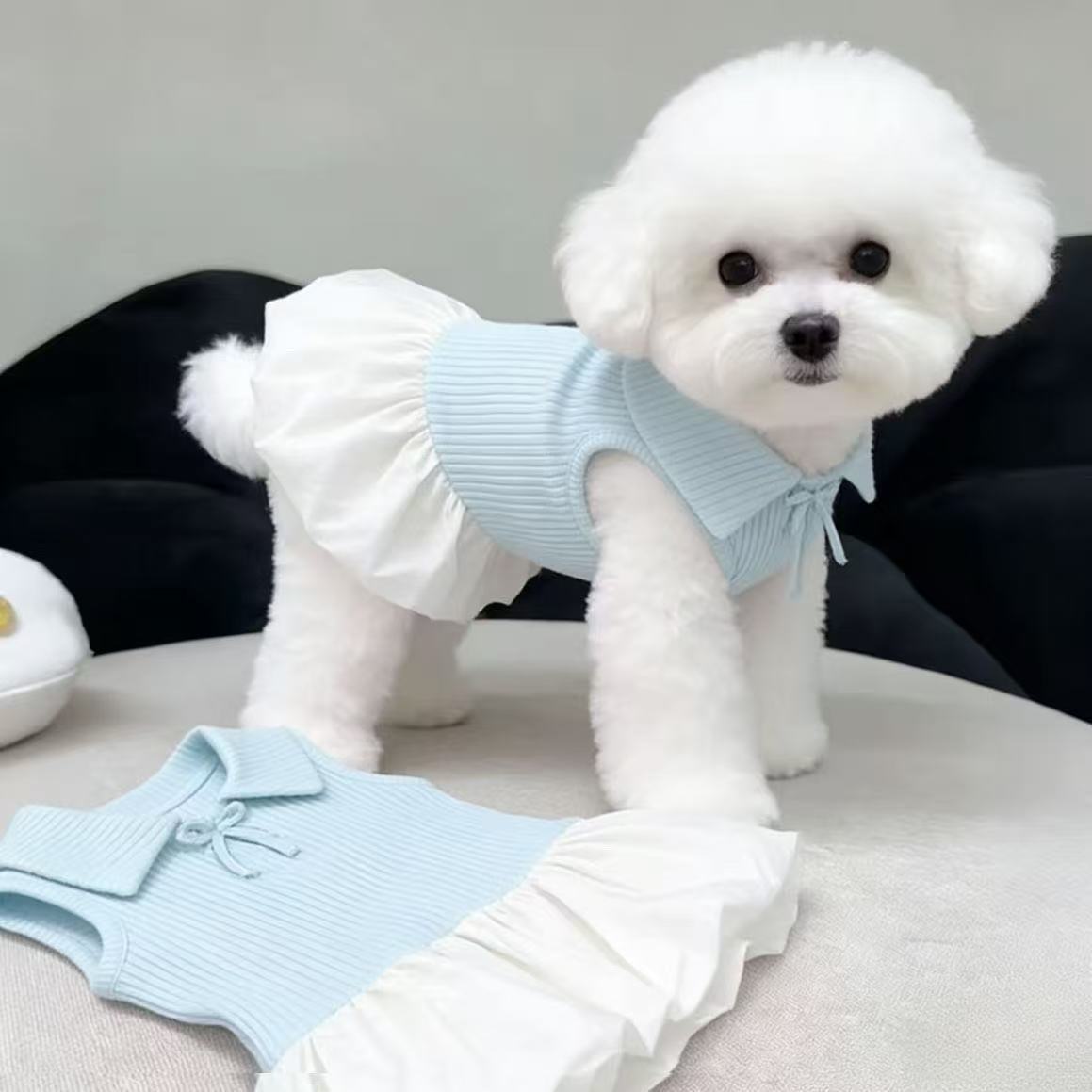 Blue polo collar summer dog dress, in Blue, image 6