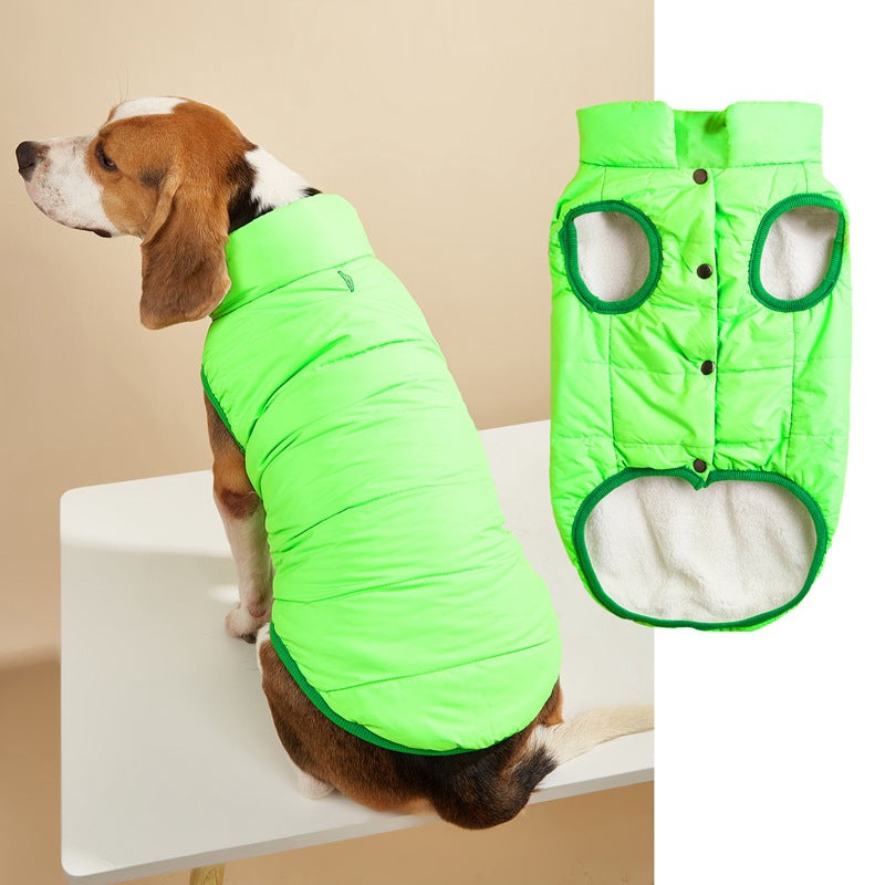 Small dog in a navy padded button up vest