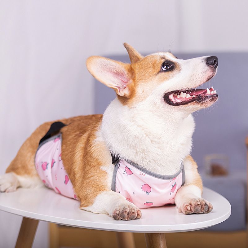 Waterproof dog belly wrap in pink or blue, product image 2