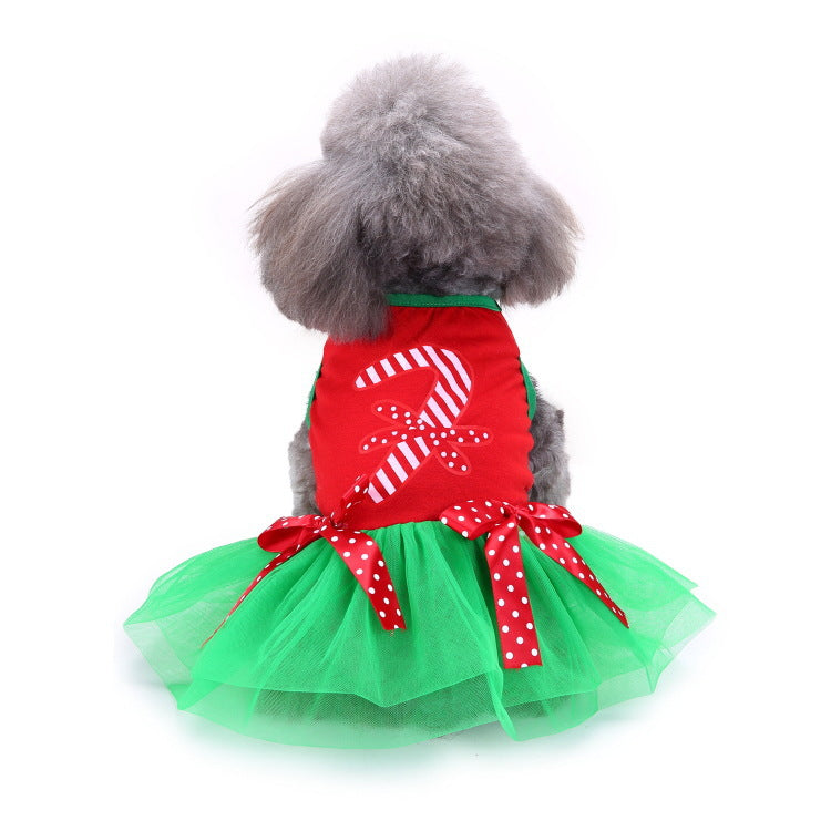 Small dog in a Christmas penguin costume with velcro fastening