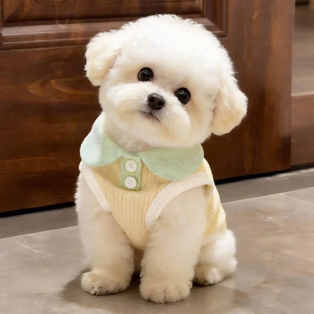 Summer shirt and vest for cats and small dogs, available in 21 styles, image 33