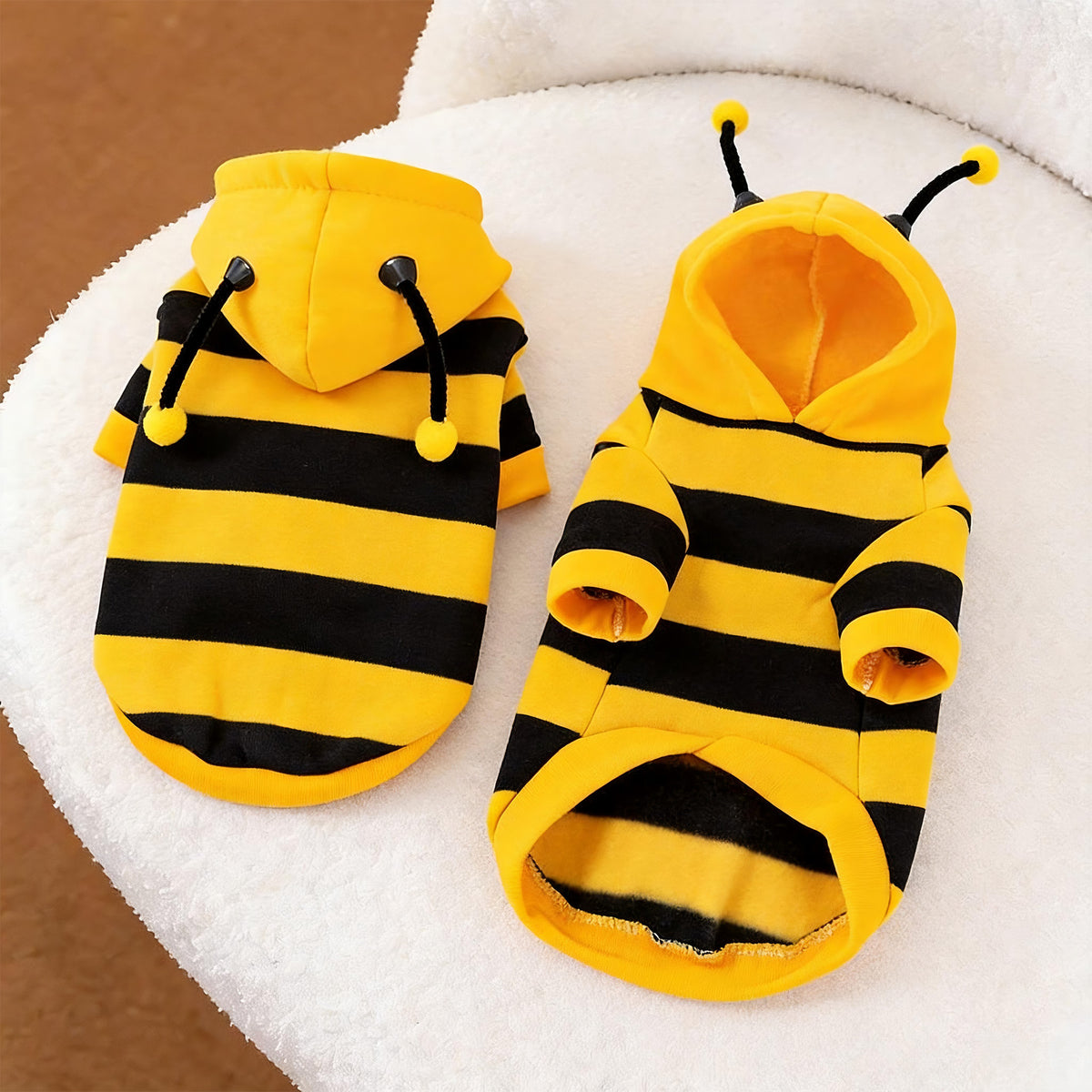 Small dog wearing a yellow and black striped bee sweatshirt