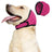 Adjustable padded dog ear muffs, available in 4 colours, image 9