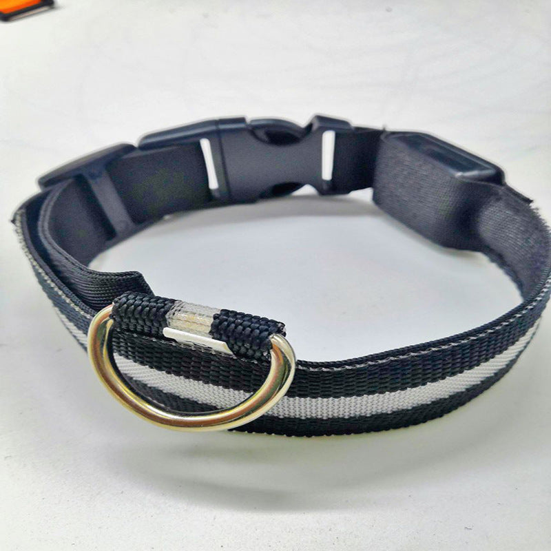 USB rechargeable LED collar for dogs and cats in Pink, in use with a pet