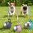 Foldable Stainless Steel Pet Travel Bowl with Hanging Hook