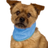 Evaporative cooling vest and collar for dogs, image 9