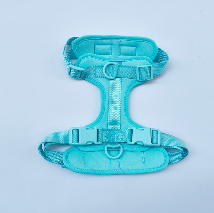 PVC dog harness lead and collar set in bright colours, main product photo
