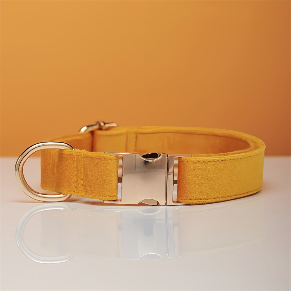 Soft velvet dog collar with metal buckle, ideal for everyday use
