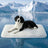 Light blue soft-touch pet bed mat with anti-slip base, photo 16