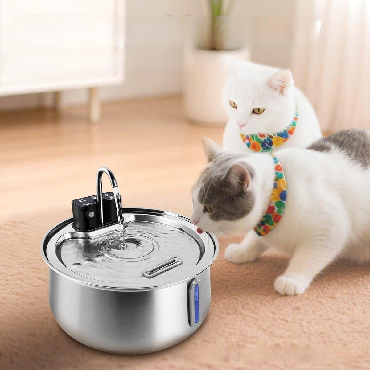 Replacement filters for a wireless sensor pet fountain, close-up detail view