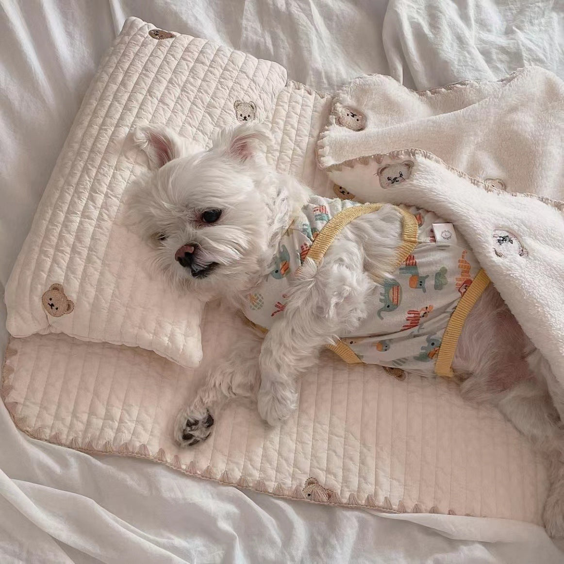 Washable dog bed set with pillow mat and blanket, photo 4 of 7