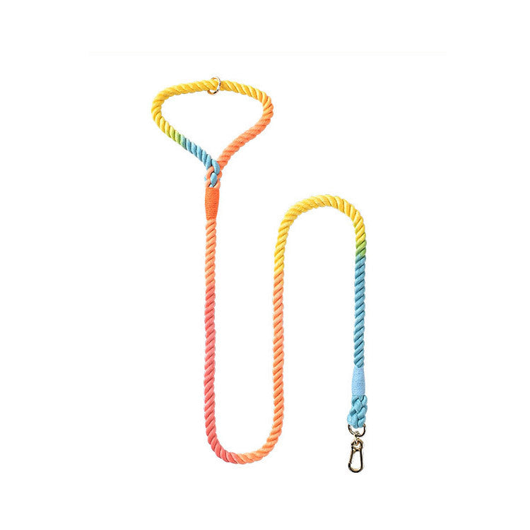 Pastel woven dog collars with gold buckles in many colours