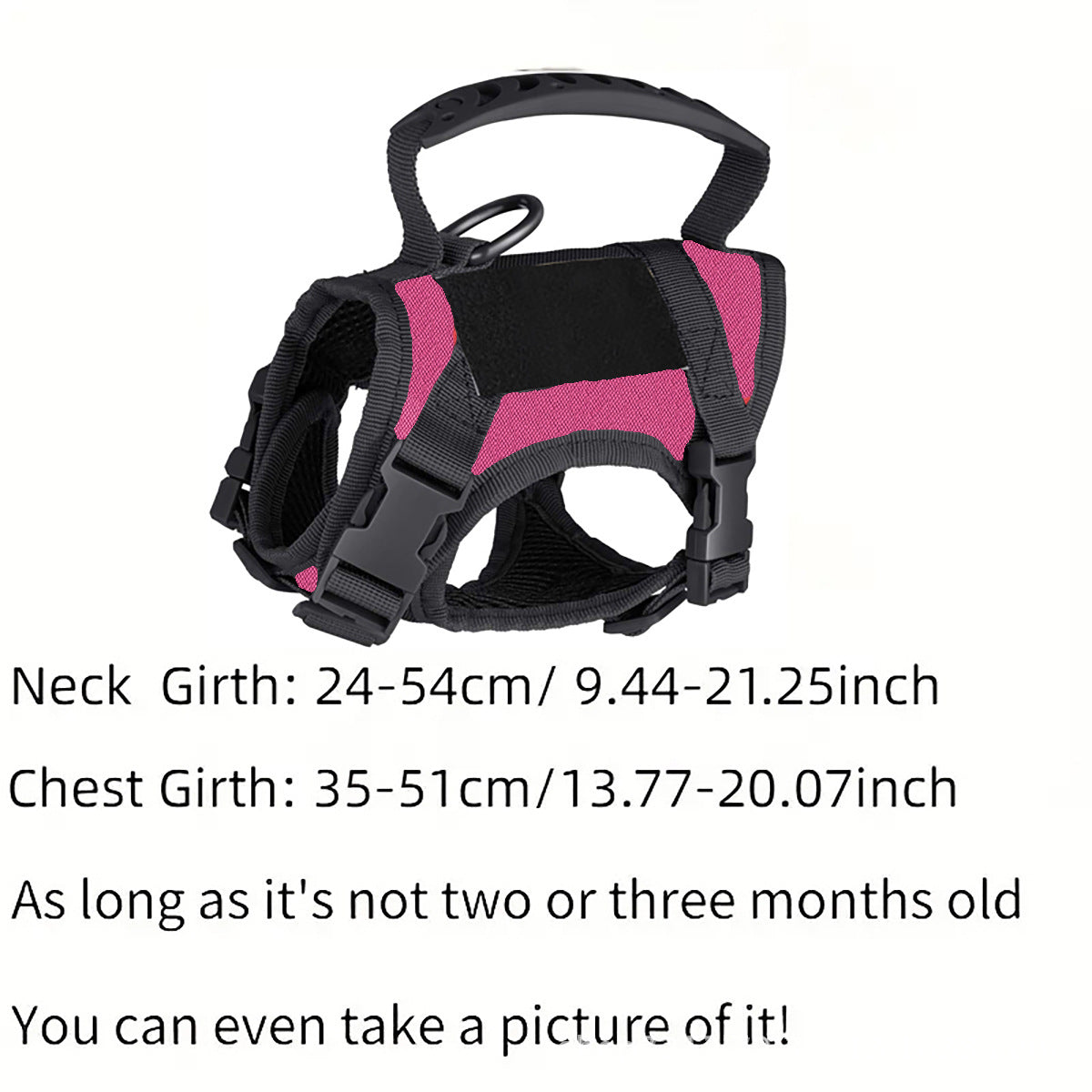 Black tactical cat harness with matching lead and embroidered patches