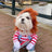 Halloween and Christmas pet costume for dogs and cats in Brown Rider Costume, close-up detail