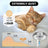 Stainless steel pet water fountain with 3L capacity