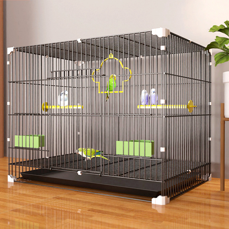 Iron bird cage for budgies and cockatiels in black or white, view 2