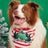 Cartoon print pet bandana for dogs and cats in Design 29, showing size and shape