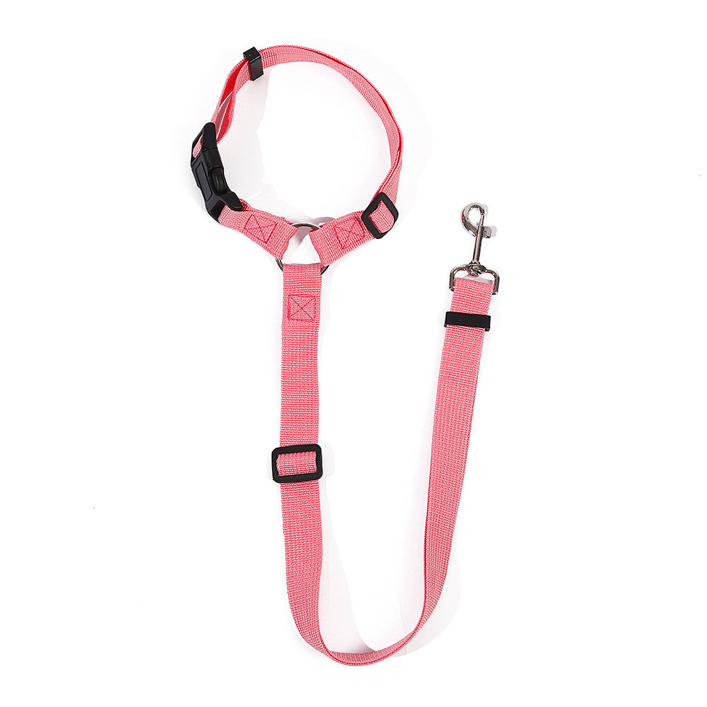 Dog car seat belt lead with headrest loop, close-up detail view