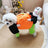 Pumpkin Halloween costume for small dogs in Pumpkin, top view
