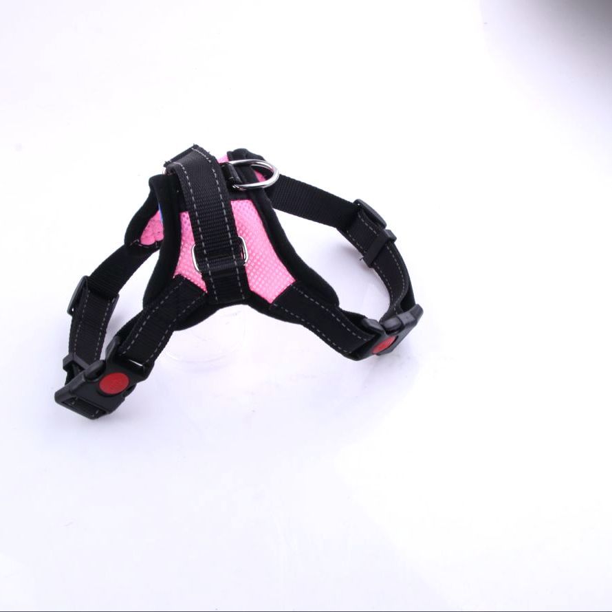 Breathable adjustable dog harness with reflective lead, in use with a pet