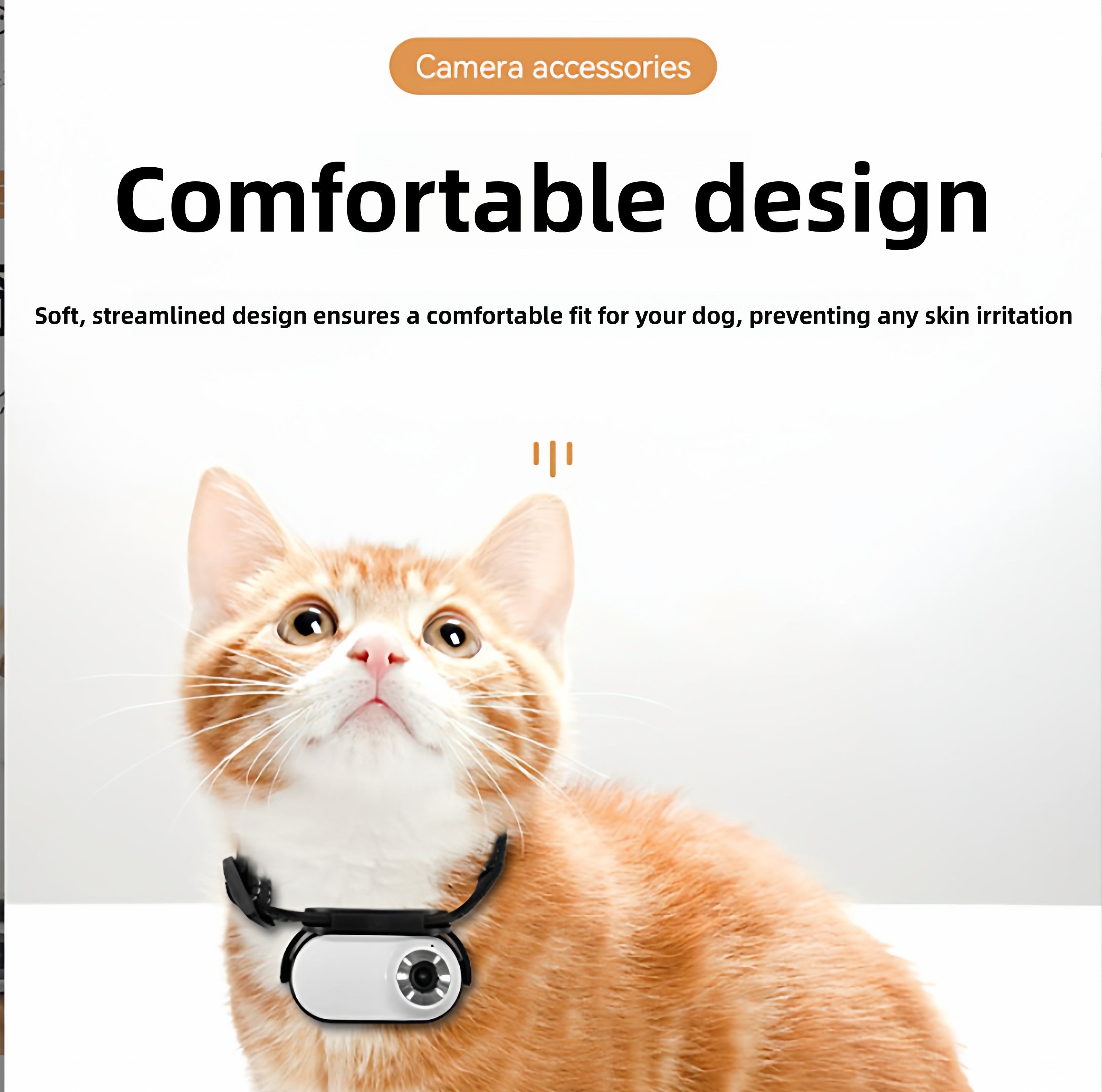 Pet collar mount for small action cameras, close-up detail view